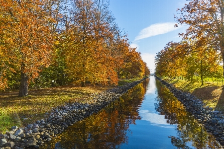 Landschaft baum natur sonnenlicht Foto