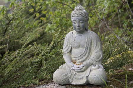 Grass rock monument statue Photo