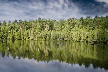 Landscape sea tree water Photo