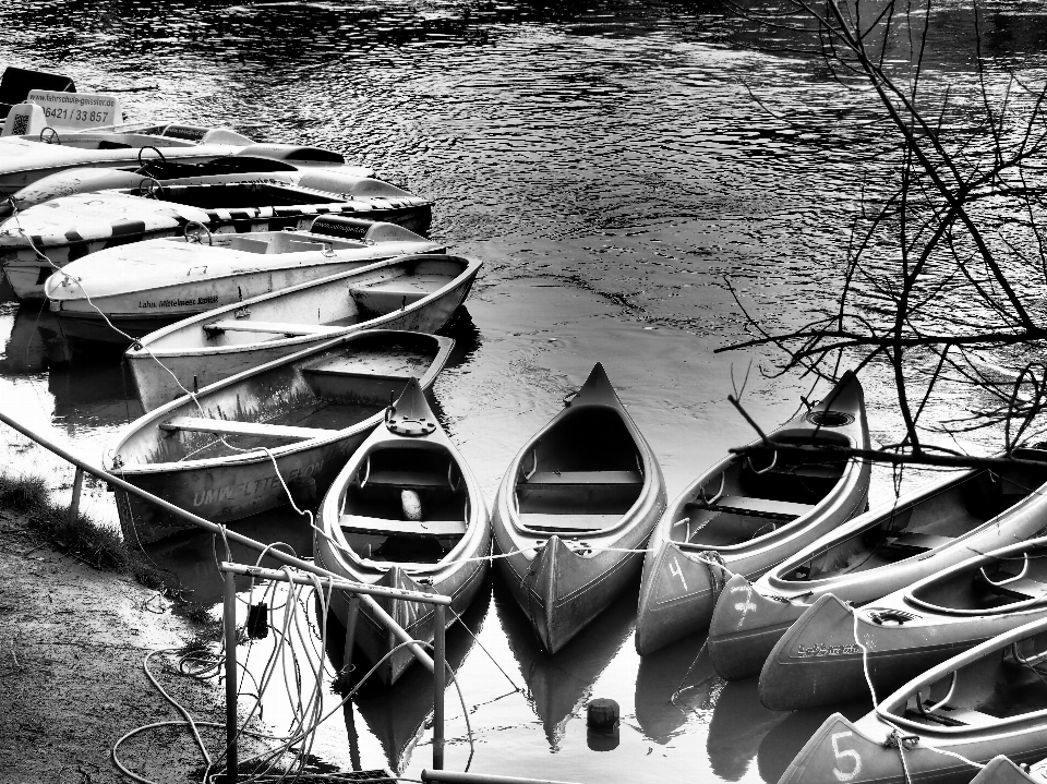 Noir et blanc
 blanc sport bateau