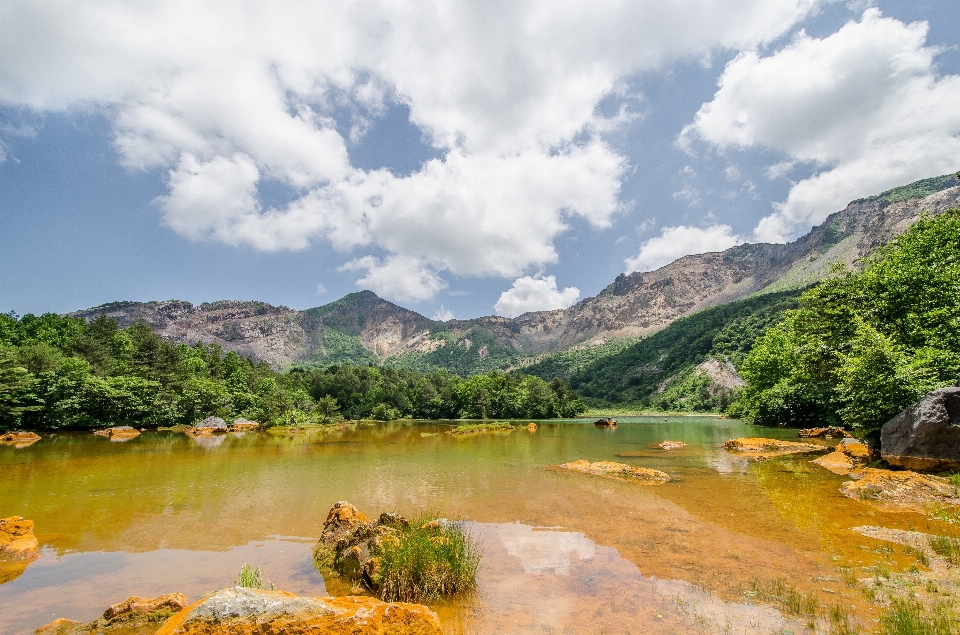 Landschaft wasser natur sumpf
