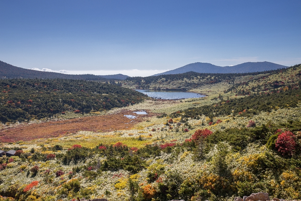 Paisaje naturaleza pantano
 desierto
