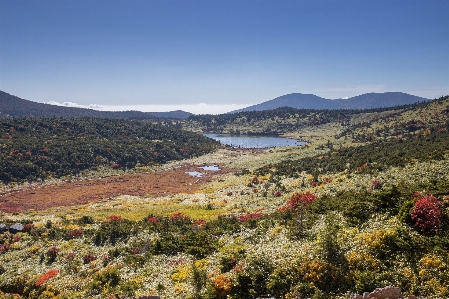 Landscape nature marsh wilderness Photo