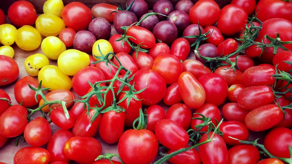 Anlage frucht heim essen