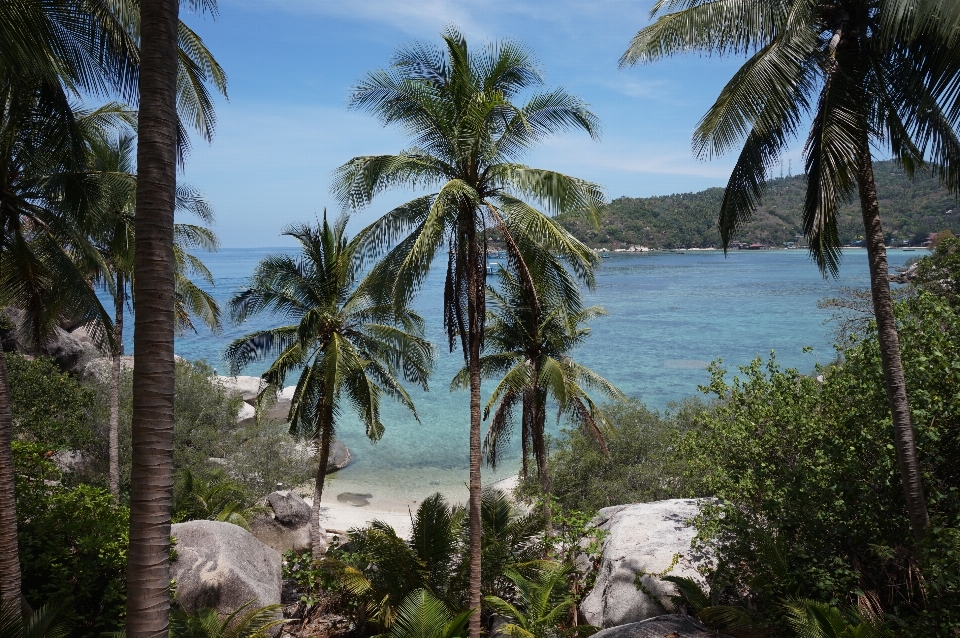 Beach landscape sea coast