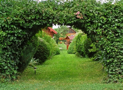 Baum natur anlage rasen Foto