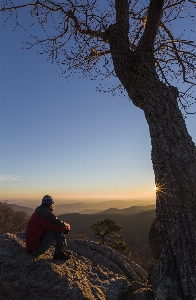 Landschaft baum natur rock Foto