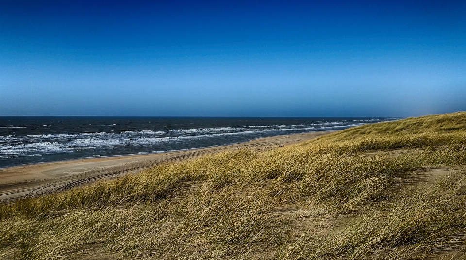 Beach landscape sea coast