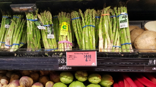 Anlage essen produzieren gemüse Foto