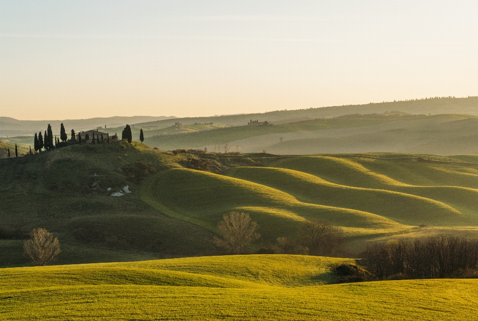 Landschaft gras horizont sonne