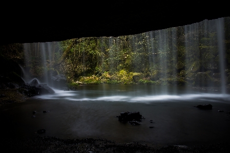 風景 水 自然 森 写真