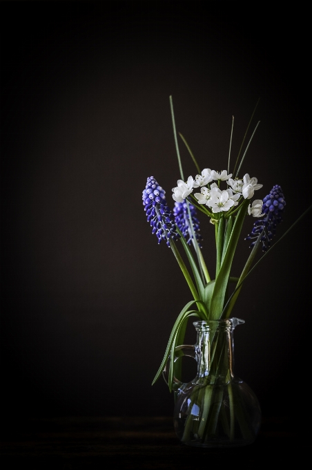 Usine blanc fleur verre