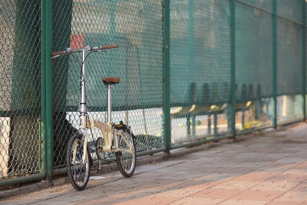 道 街 自転車 輸送 写真