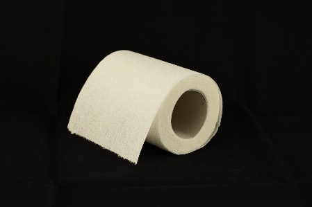 White ceramic toilet paper Photo