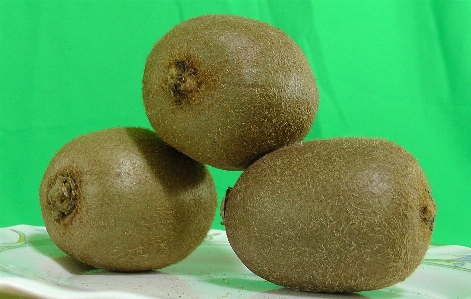 Plant fruit seed food Photo