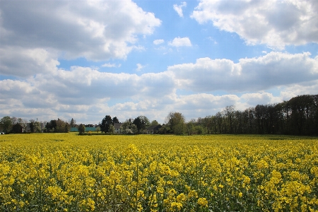 Landscape nature grass horizon Photo