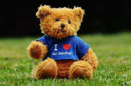 Sweet cute bear toy Photo