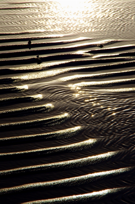 Praia costa água areia