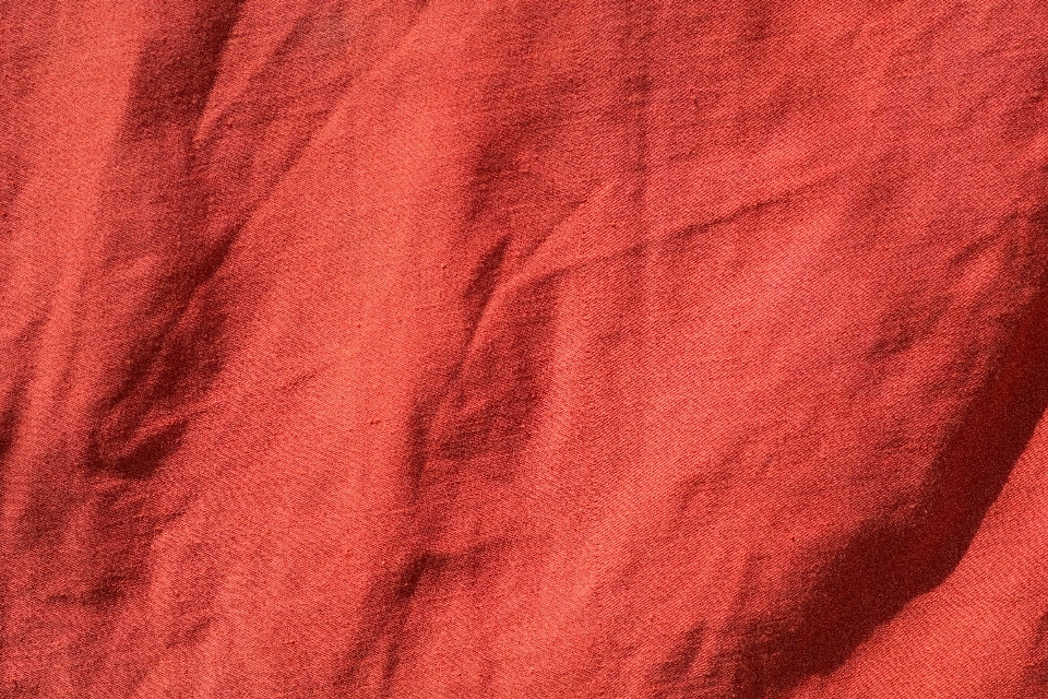 Texture pétale modèle rouge