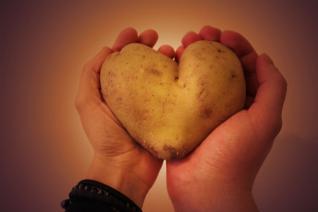 Hand plant petal love Photo