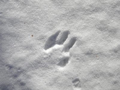 Photo Main sable neige froid