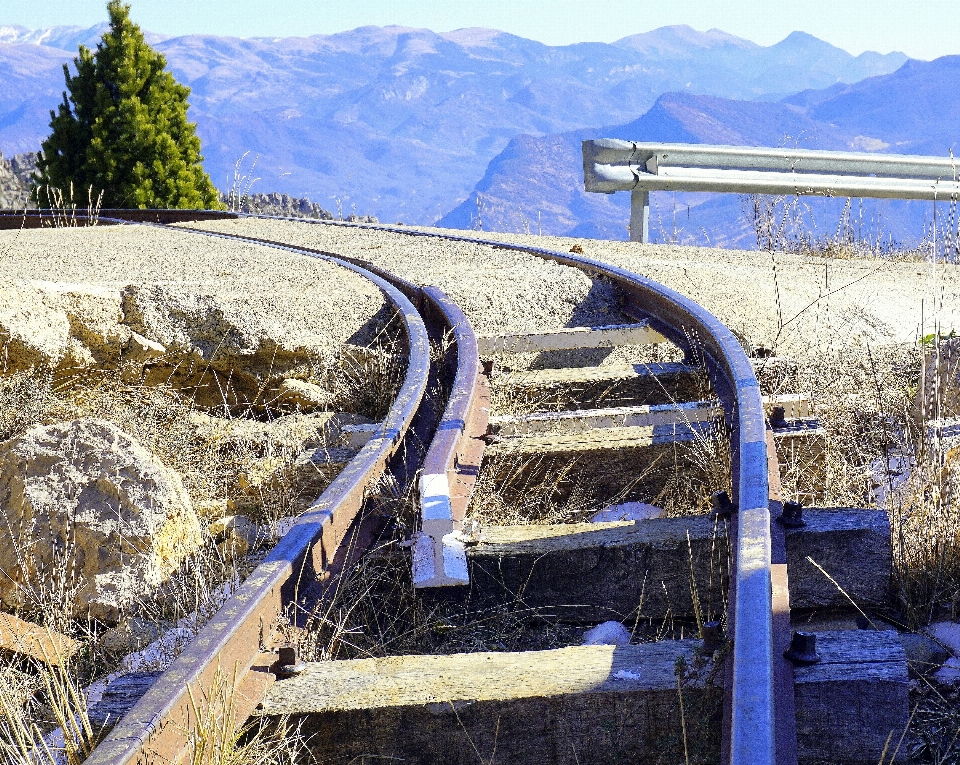 雪 追跡 橋 訓練