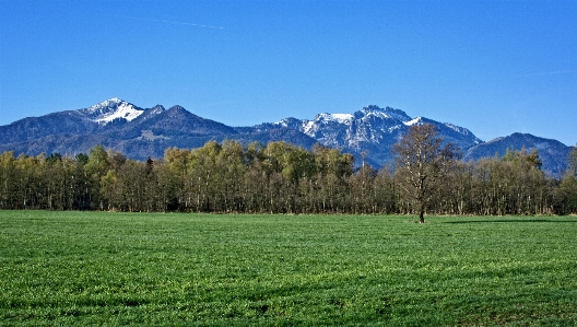 Landscape nature grass wilderness Photo