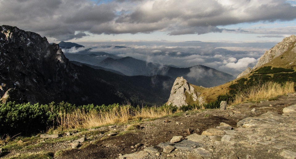 Krajobraz natura trawa na wolnym powietrzu