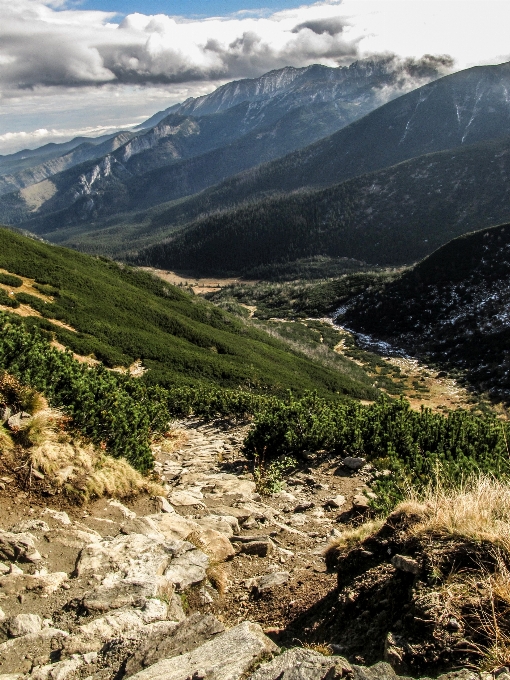 Paesaggio natura erba all'aperto