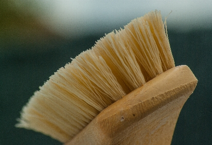 Hand wood brush wash Photo