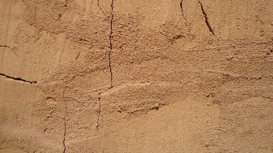 Sand wood texture floor Photo