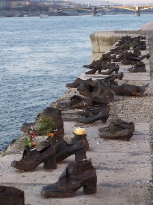 Sea coast rock wood Photo