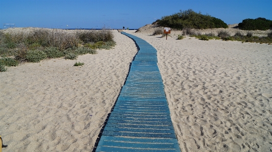 Beach sea coast sand Photo