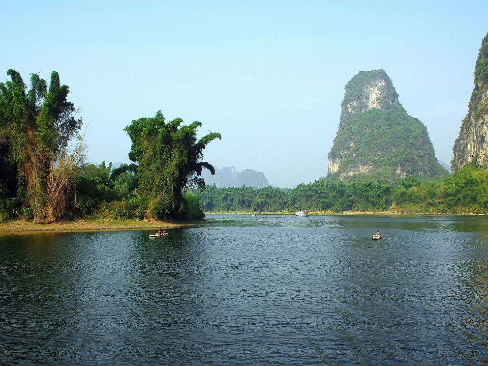 Paisaje mar costa árbol