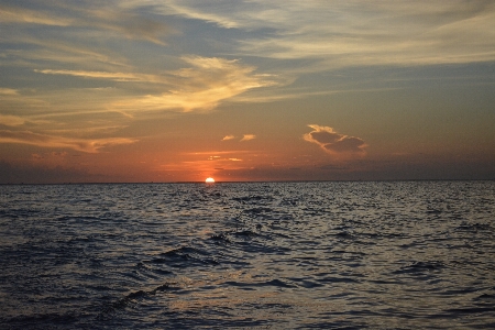 Beach sea coast nature Photo