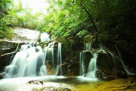 Landscape water nature forest Photo