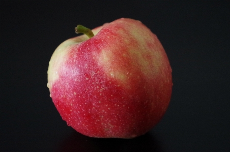 Apple anlage frucht blume Foto