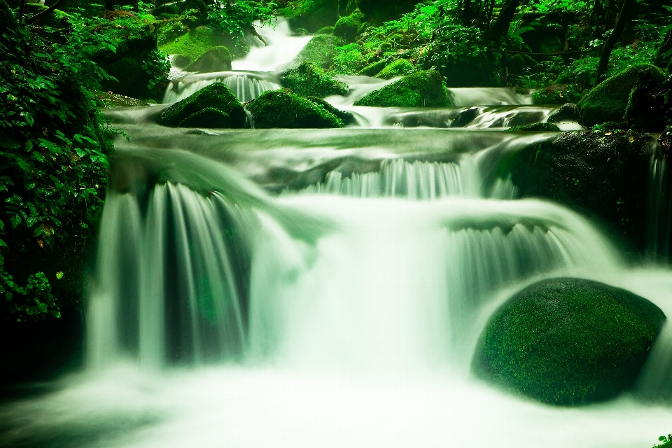 Paisaje agua naturaleza bosque