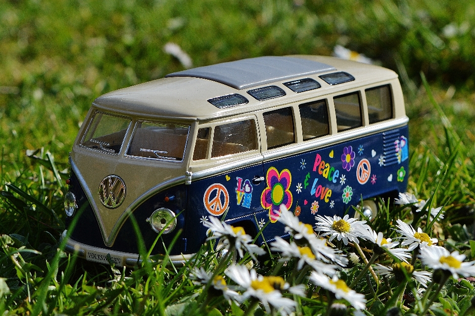 Car meadow flower vw