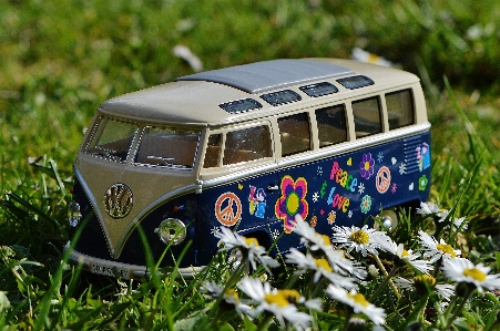 Car meadow flower vw Photo