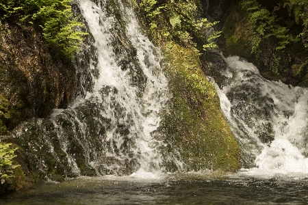 Landscape water nature forest Photo