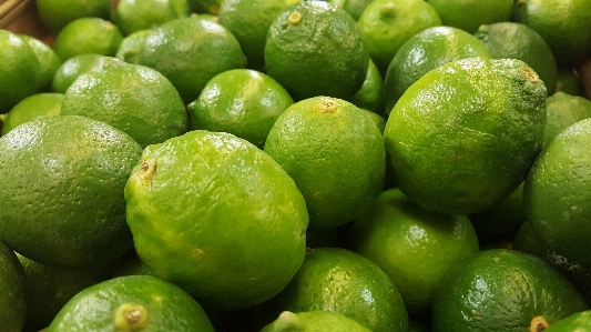 Plant fruit food green Photo