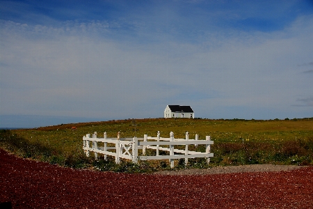 Landscape sea coast grass Photo