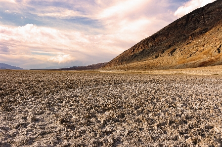 Landscape sea coast nature Photo