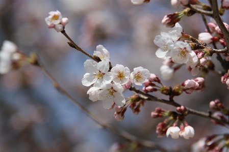 Landscape nature outdoor branch Photo