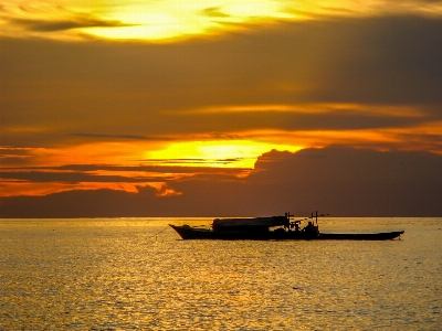 Beach sea coast nature Photo