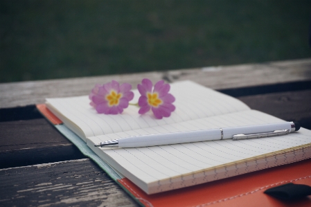 Notebook writing nature creative Photo