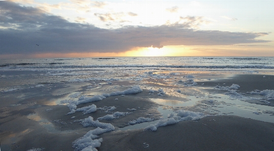 Beach sea coast water Photo