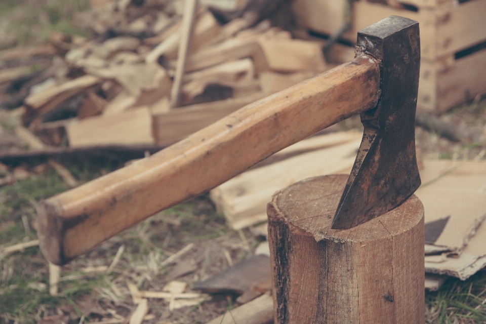 Travail homme arbre forêt