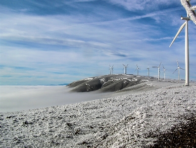 海 海岸 海洋 雪 写真